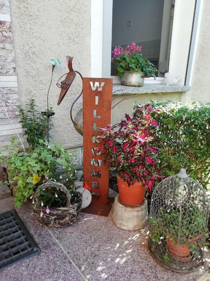 Ferienwohnung Zur Alten Eiche Frohburg Esterno foto